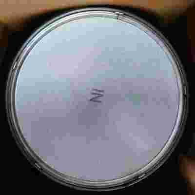comprar Mass Production High Temperature Stability Selective Catalytic Reduction Catalyst for Commercial Vehicle Aftertreatment Fabricação em linha